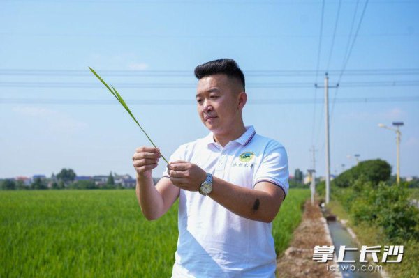 配资策略平台 “农二代”智耕千亩地 | 田野上的90后