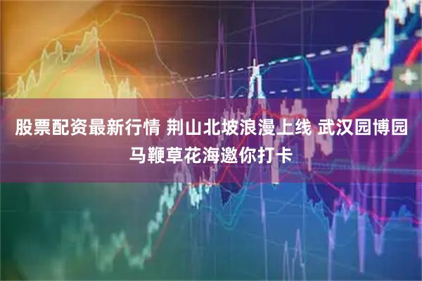 股票配资最新行情 荆山北坡浪漫上线 武汉园博园马鞭草花海邀你打卡