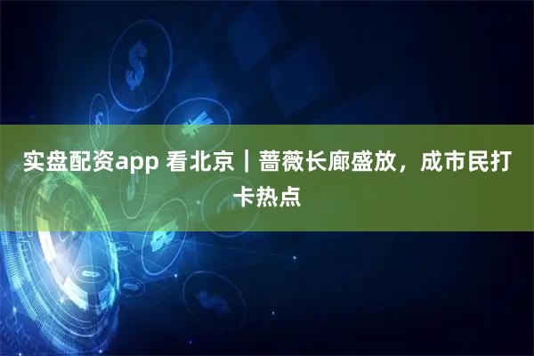 实盘配资app 看北京｜蔷薇长廊盛放，成市民打卡热点